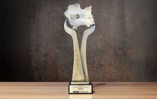 Comarch Named Company of the Year!