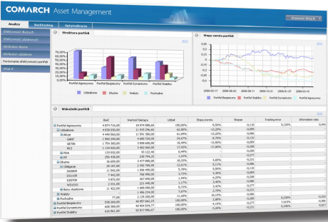 Risk Management systems from Comarch Risk Management software